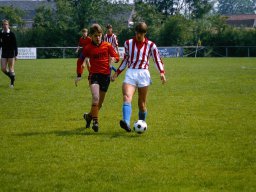 0DIA 1984 RAVA B1